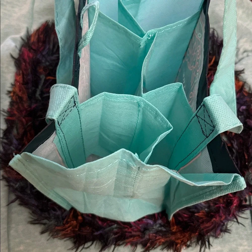 Perfect condition Kroger six slot sectional wine bottle holder reusable bag.